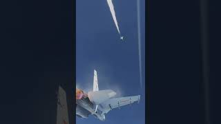 米軍F-14と中国軍戦闘機がドッグファイトに突入する瞬間！【DCSWorld】