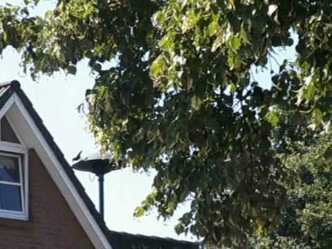 Sirenenprobe E57 in Ohe (Reinbek)