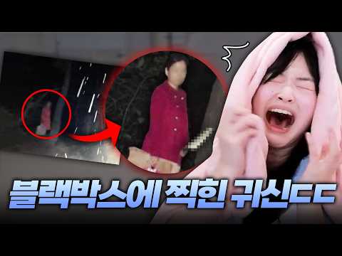 충격적이고 소름끼치는 실제 블랙박스 귀신ㄷㄷ https://img.youtube.com/vi/wz5XE9ji890/hqdefault.jpg 충격적이고 소름끼치는 실제 블랙박스 귀신ㄷㄷ