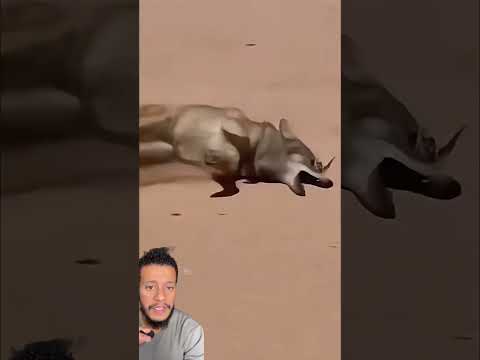 ‏هذا المشهد لا يصدق #wildanimals