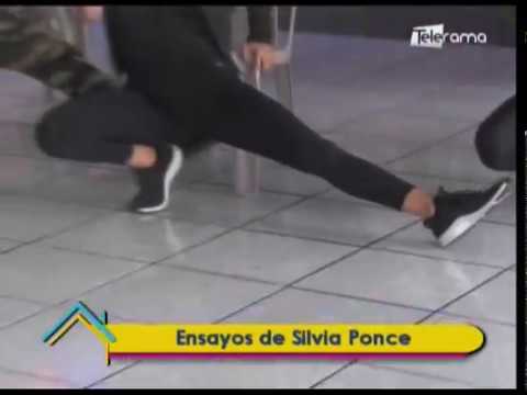 Ensayos de Silvia Ponce