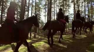 preview picture of video 'Horse riding vacations in Europe hidden pearl of nature'