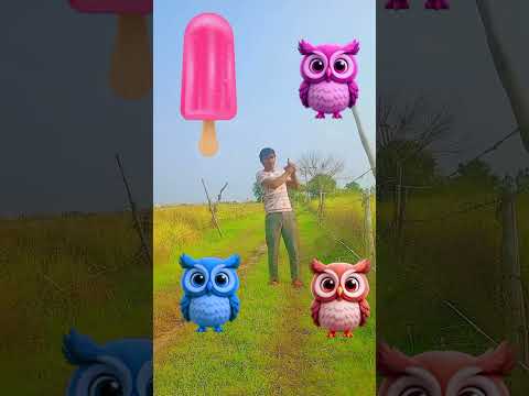 Furis to icecream, cadbury, popcorn & chocolate - food names vfx video #shortsvideo