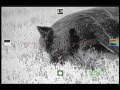 Night Hunt with ATN ThoR 320 2x 