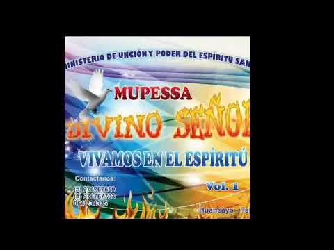 02 Divino Señor (MUPESSA Divino Señor)