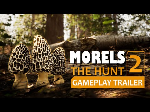 Morels: The Hunt 2 - Gameplay Trailer - YouTube