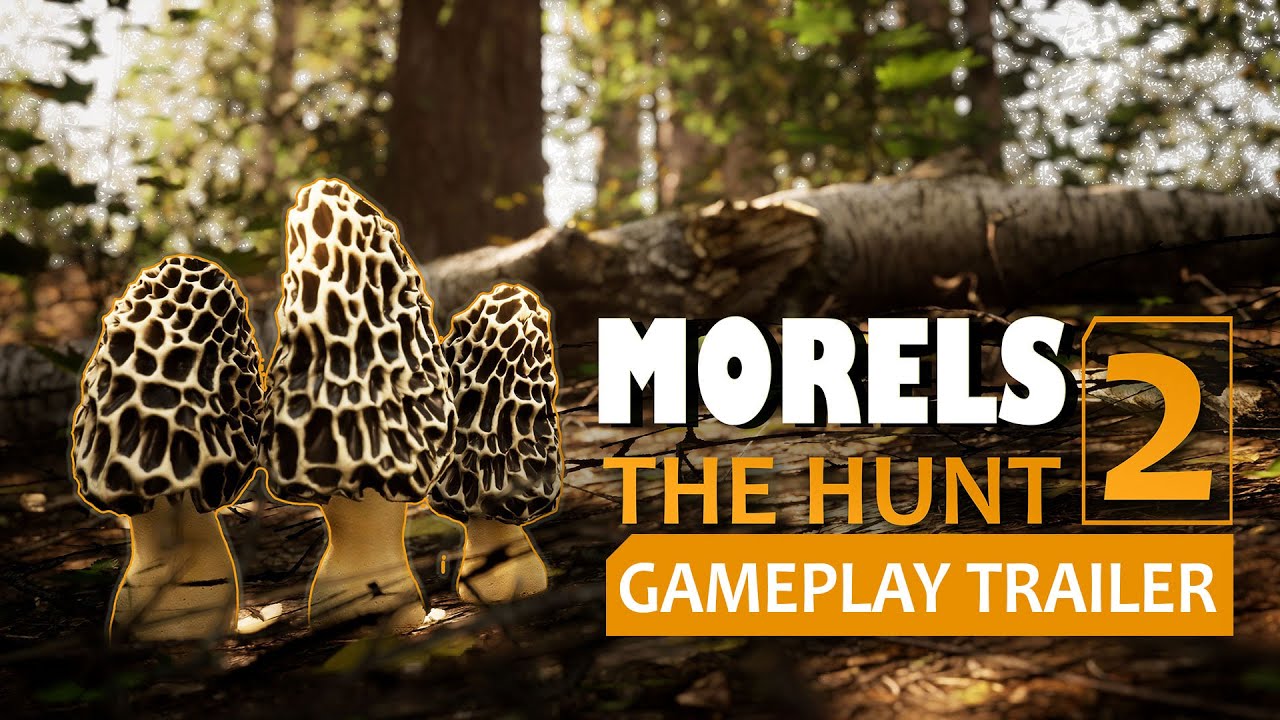 Morels: The Hunt 2 - это отличная атмосфера на свежем воздухе, когда вы застряли в помещении. 2 Morels: The Hunt 2 - Игровой трейлер - YouTube