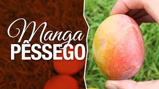 Miniatura do vídeo