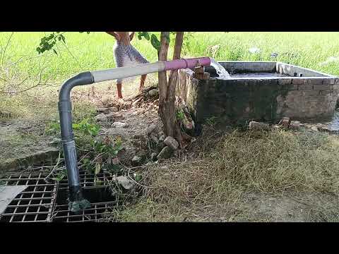 New Tubewell Swimming Vlog in Village 🔥🍌2025