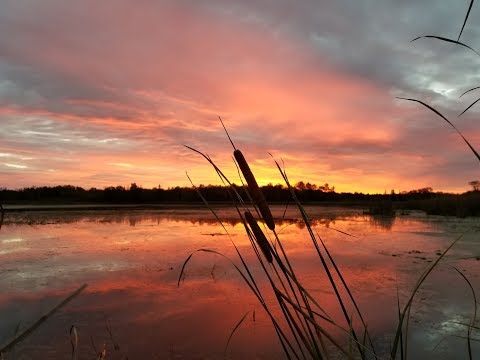 DUCK HUNTING 2018. Minnesota Opening Weekend "The Movie"