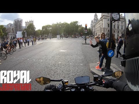 Daily Observations 239