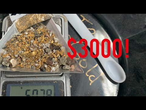 $3000 GOLD PAYDIRT has huge gold nuggets !!!