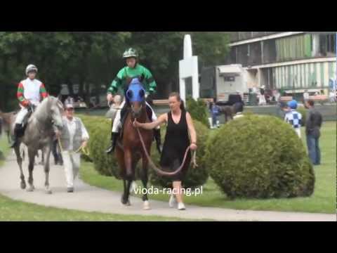 Gon. I - 10.06.2012 - Kasnarra El Amarna (Vert Olive - Khute)