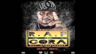 Sin Temor A Nada THE FUCK ANIMAL FT BI2 FT RAPEONE  2015