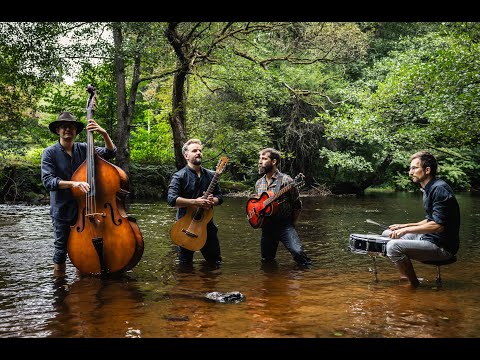 QUIET LANE - Salza di Piranha