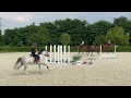 Pony di 6 anni.