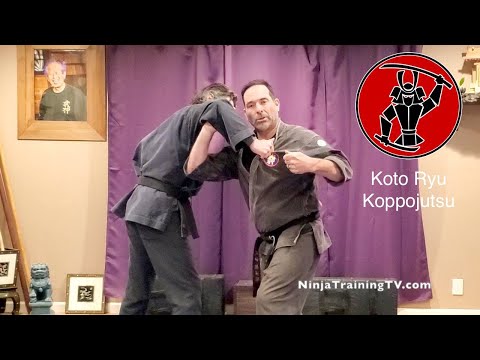 Koto Ryu Fighting Form - Setto (Break and Knock Down)