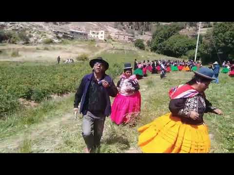 Qhachwiris Wayñuris del Distrito Calangachi Municipio Puerto Acosta La Paz Bolivia