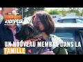 Un nouveau membre dans la famille - Animaux à adopter