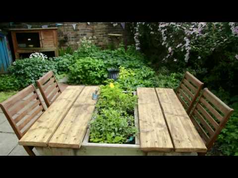 Suburban Permaculture garden in disguise