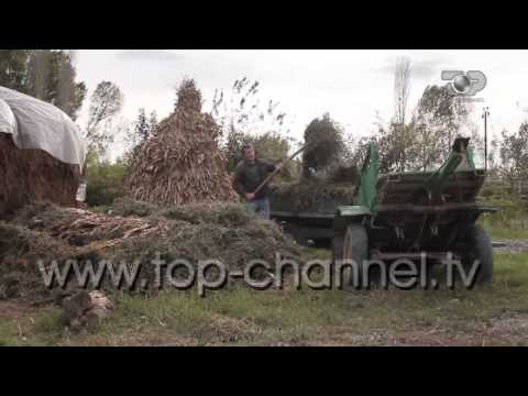 Rrathe 3, 18 Prill 2015, Rrethuar prej gjakut - Top Channel Albania