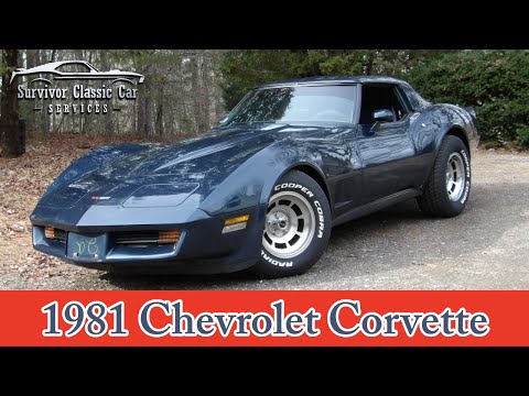 1981 Chevrolet Corvette (CC-2025699) for sale in Palmetto, Florida