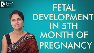 5th Month - Fetal development in fifth month of pregnancy - Dr. Shefali Tyagi