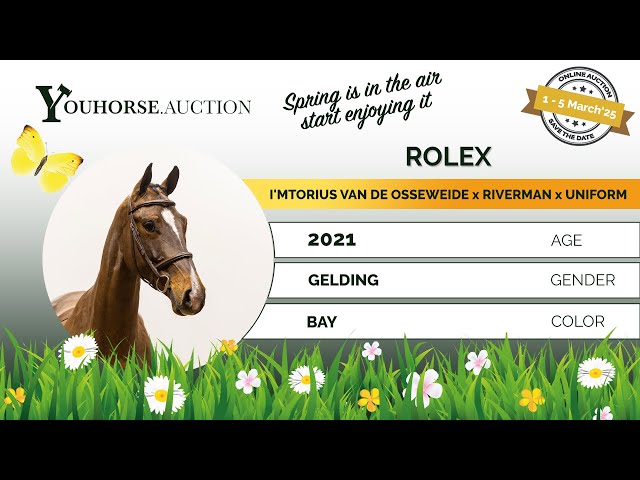 Rolex flatwork