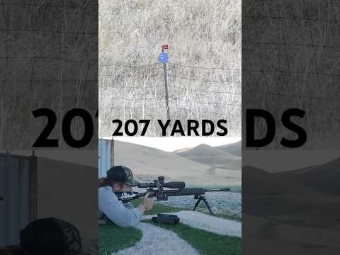 The slug game has been forever changed... The ACE slugs from AirMarksman are INSANE! #airgunhunting