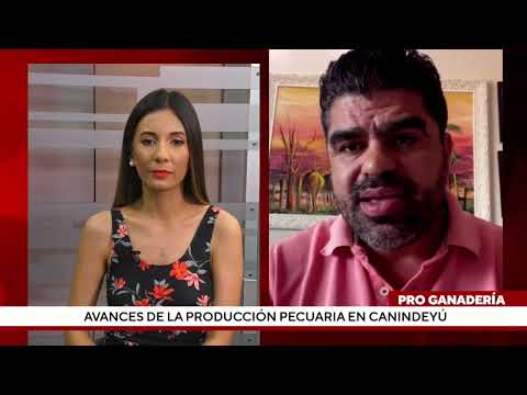 Perspectivas para la producción pecuaria en Canindeyú - Parte 1
