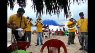 preview picture of video 'Terrenal con banda en Guayabitos Nayarit'