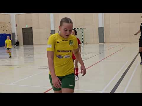 12.1.2025 HauPa T1213 keltainen - ONS 13 valkoinen