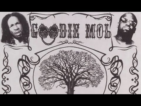 Goodie Mob - Beautiful Skin