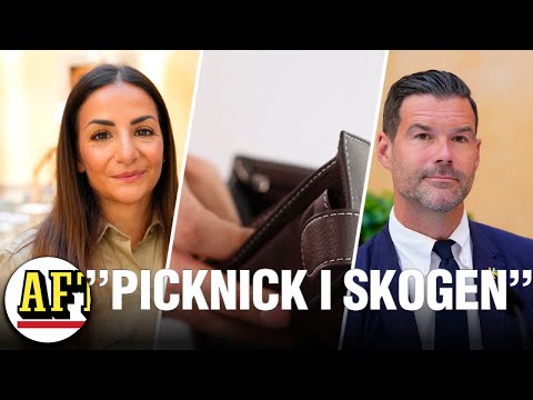 Det här sparar ministrarna in på i sommar: Kan skippa glasskiosken