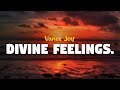 Vance Joy - Divine Feelings (lyrics)