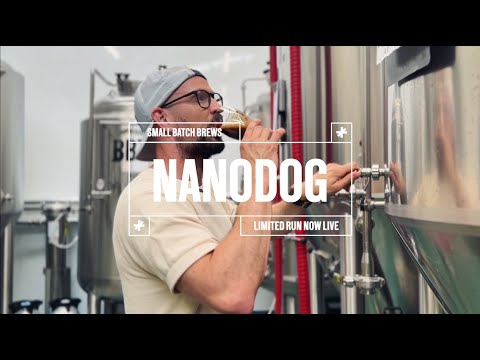 Bem-vindo ao NanoDog