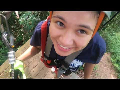 Tree Top Adventure Big Pineapple