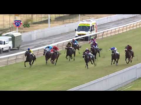 Hippisme – 1re journée (5e course): Inauguration, la première de Cédric Ségeon