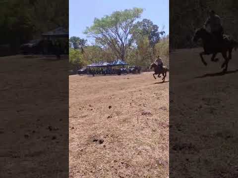 Así estuvo el ambiente en las carreras de cinta en tamanique la libertad costa la libertad