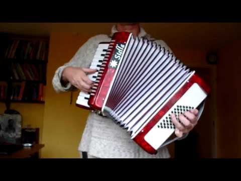 Stella accordion Godfather waltz.mp4