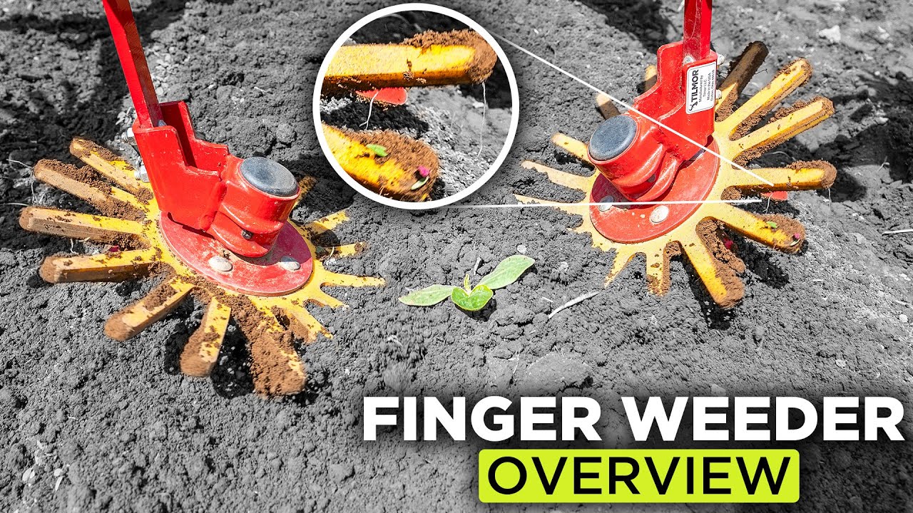 High Efficiency In-Row Weed Removal - Finger Weeder Overview