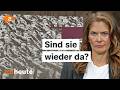 Warum Niemand Die Nazis Aufhielt Aspekte