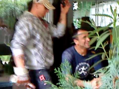 Gerüstbauer - Muffti schwul??