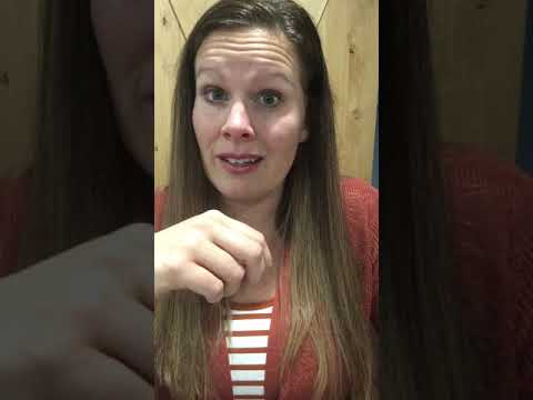 Can Mini Pigs Become Aggressive?