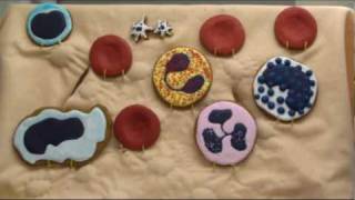 Blood Cell Bakery--Introduction