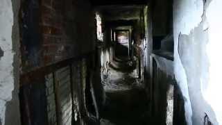 ToneyBoi - Guacaroni & Cheese Prod. By Neckbone Rollins (Shot by Malt Disney)