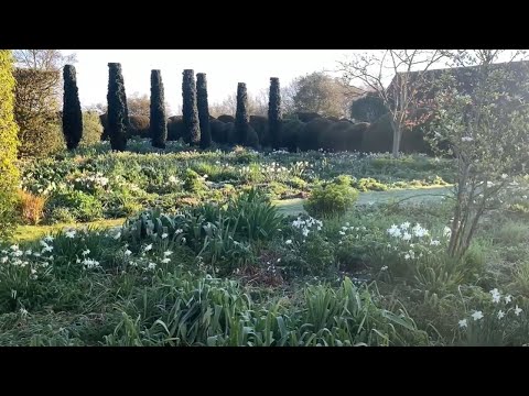 Beautiful English garden tour: Tom Stuart-Smith at The Barn, Hertfordshire