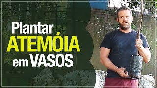 Miniatura do vídeo