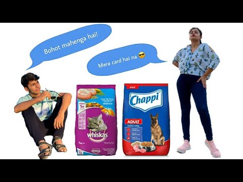 Catfood shopping gone wrong! 😑