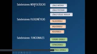 Cerebelo - Parte 2 - (7/9)